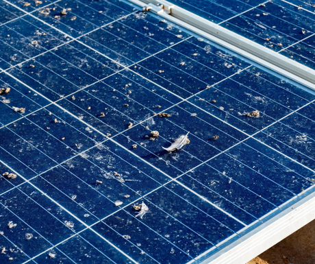 Či&scaron;čenje solarnih panelov